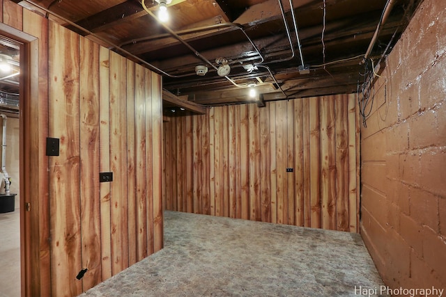 unfinished basement with wooden walls