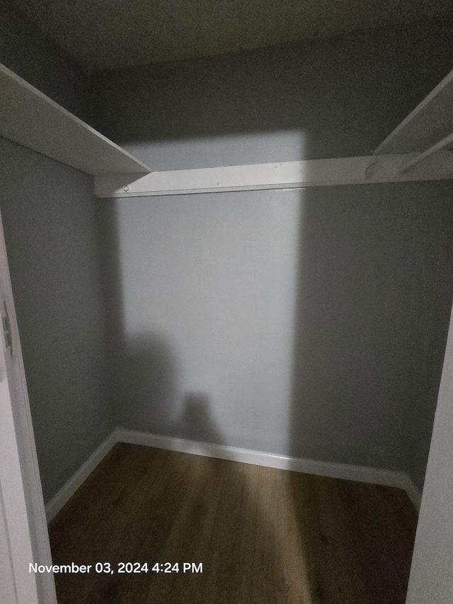 spacious closet featuring wood finished floors