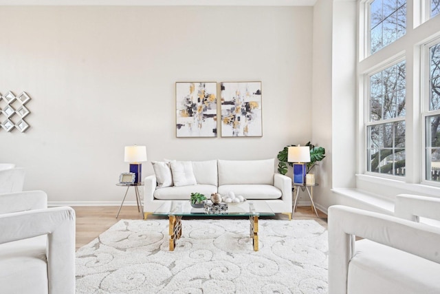 living area with baseboards and wood finished floors