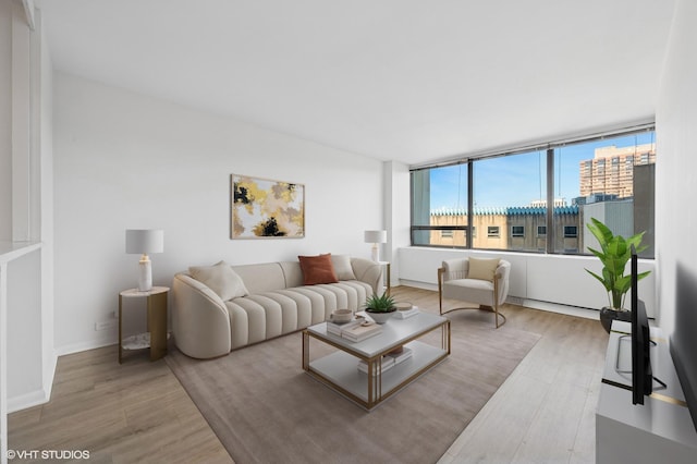 living area featuring baseboards and wood finished floors