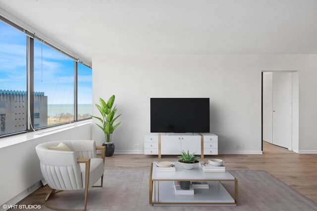 living room with wood finished floors and baseboards