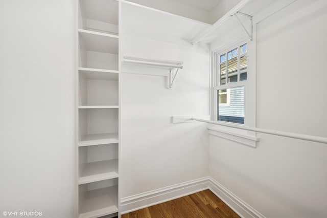 spacious closet featuring dark wood finished floors