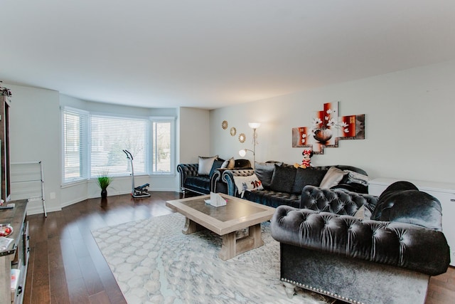 living room with wood finished floors and baseboards