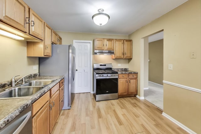 kitchen featuring under cabinet range hood, stainless steel appliances, a sink, baseboards, and light wood-style floors