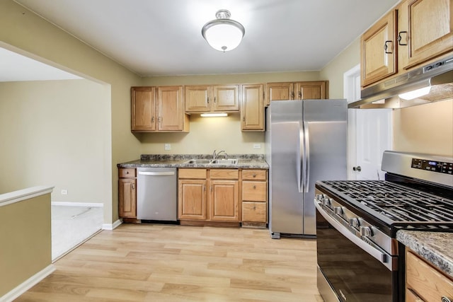 kitchen featuring under cabinet range hood, stainless steel appliances, a sink, and light wood finished floors