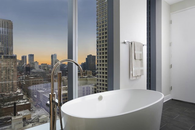 full bathroom featuring a view of city and a freestanding tub