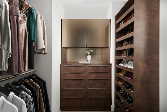 view of spacious closet