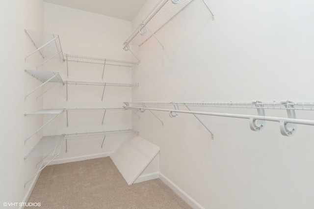 walk in closet with light colored carpet