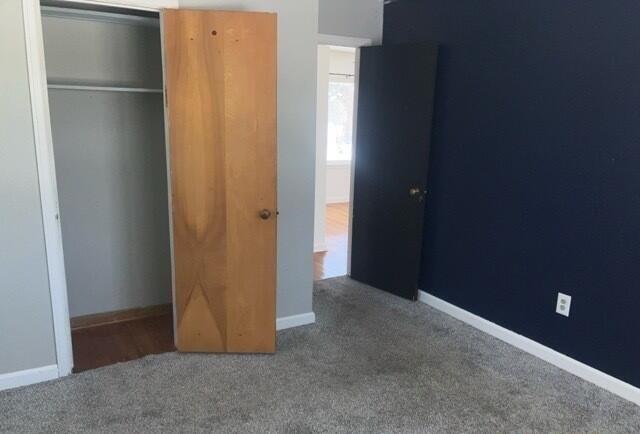 unfurnished bedroom with carpet floors, baseboards, and a closet