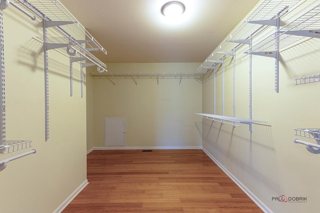 spacious closet featuring wood finished floors