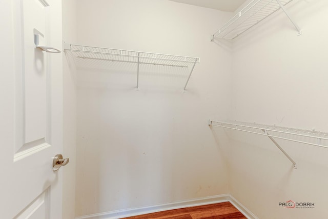 walk in closet with wood finished floors