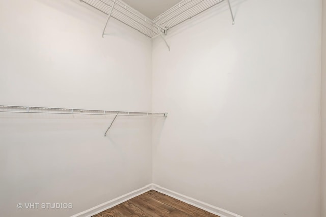 walk in closet featuring dark wood-type flooring