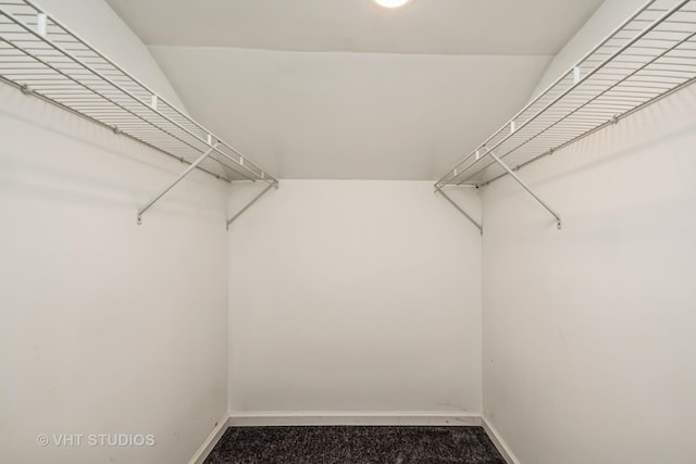 walk in closet featuring carpet flooring