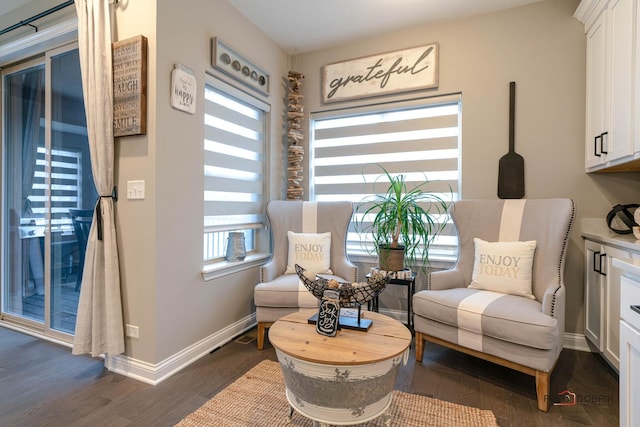 sitting room featuring baseboards and dark wood-style flooring