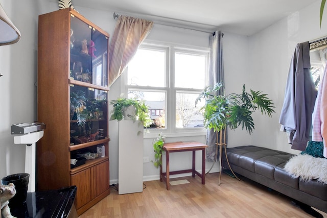 living area featuring light wood finished floors and a wealth of natural light