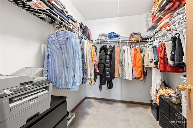 walk in closet featuring carpet