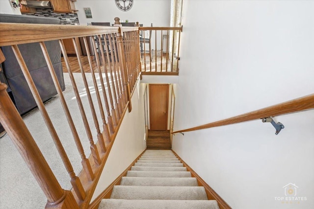 stairway featuring carpet flooring