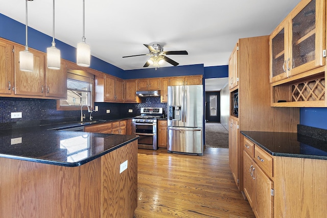 kitchen featuring a peninsula, ceiling fan, a sink, under cabinet range hood, and appliances with stainless steel finishes