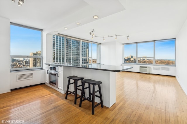 kitchen featuring light wood-style flooring, plenty of natural light, and stainless steel oven