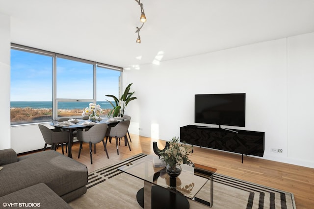 living room with wood finished floors