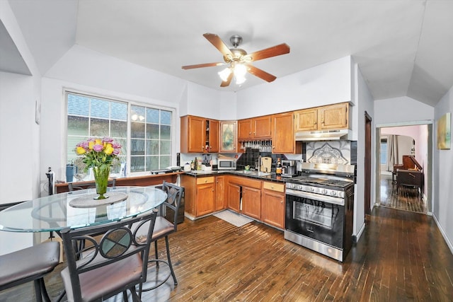 kitchen with dark wood finished floors, dark countertops, appliances with stainless steel finishes, under cabinet range hood, and backsplash