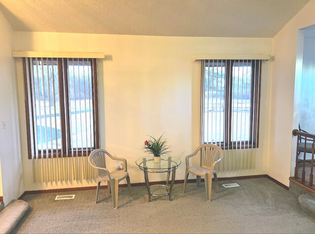 living area featuring baseboards, carpet, visible vents, and a textured ceiling