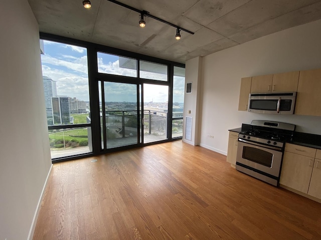 kitchen featuring a view of city, light wood-style floors, appliances with stainless steel finishes, expansive windows, and dark countertops