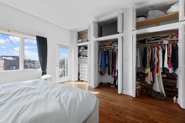 bedroom featuring multiple closets, access to exterior, and wood finished floors