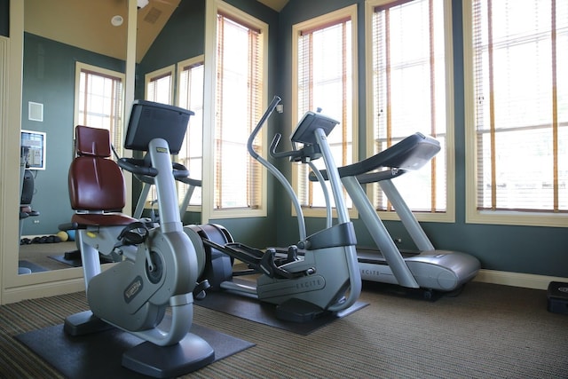 1623 Colchester Ln, Aurora, IL 60505 - exercise room with carpet flooring, lofted ceiling, and baseboards