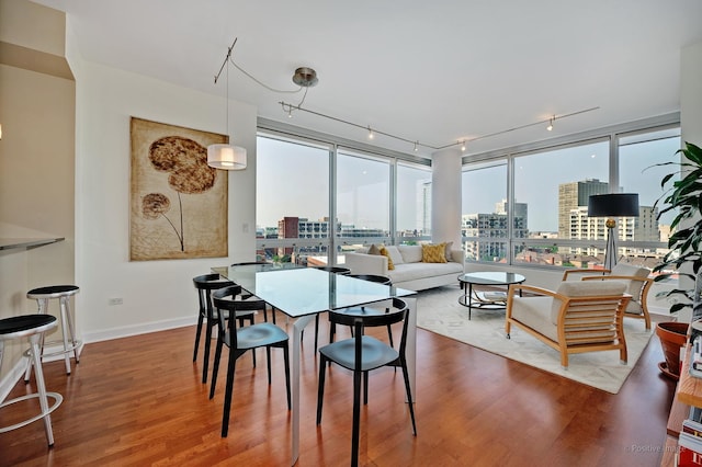 1841 S Calumet Ave Unit 1008, Chicago, IL 60616 - dining area featuring a view of city, wood finished floors, rail lighting, and baseboards