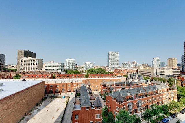 1841 S Calumet Ave Unit 1008, Chicago, IL 60616 - view of city