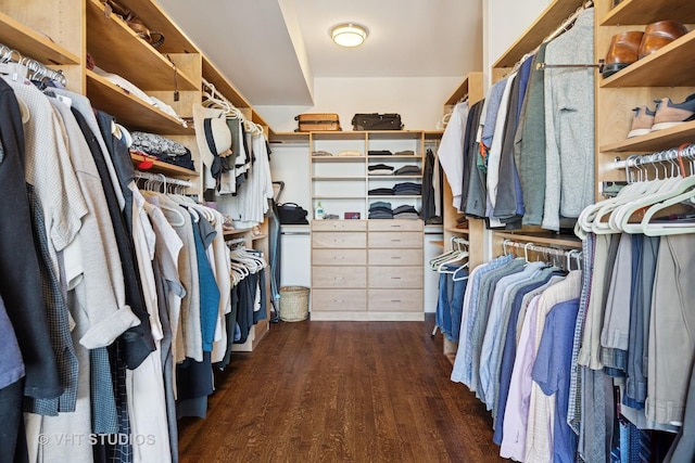 spacious closet featuring wood finished floors