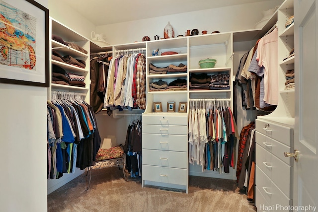 spacious closet with carpet floors