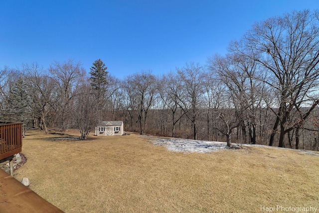 view of yard featuring a deck and an outdoor structure