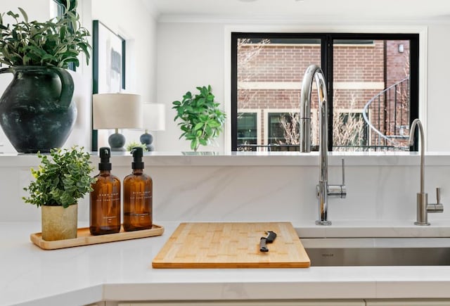 details with ornamental molding and a sink