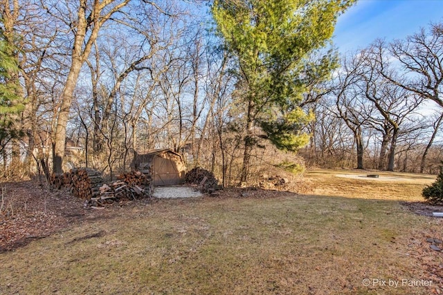 view of yard featuring a storage shed and an outdoor structure