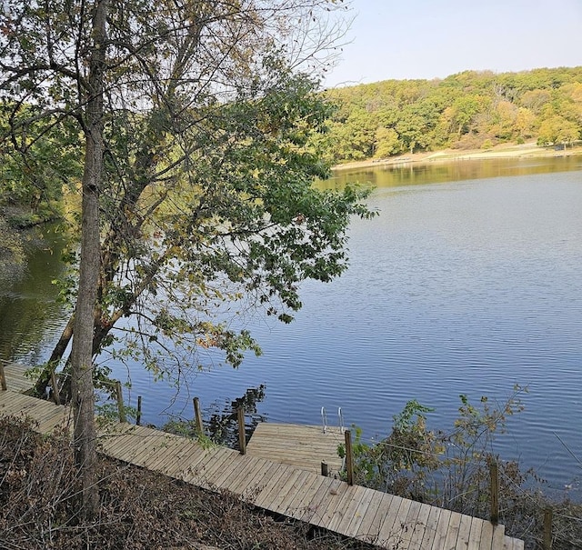 water view featuring a dock and a forest view