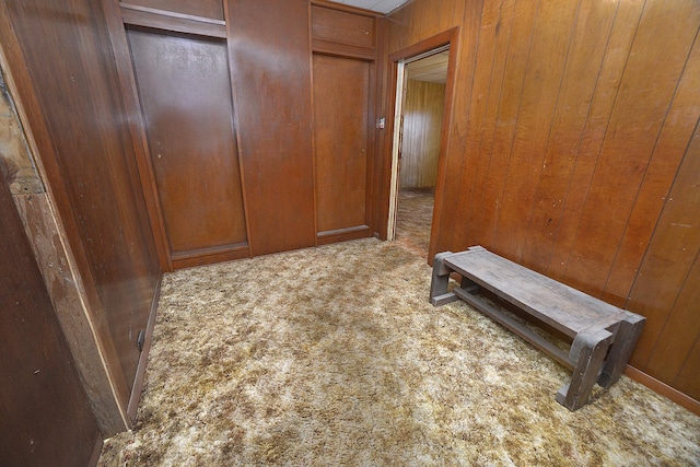 hallway featuring carpet floors and wood walls