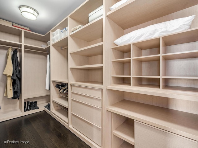 spacious closet with dark wood finished floors