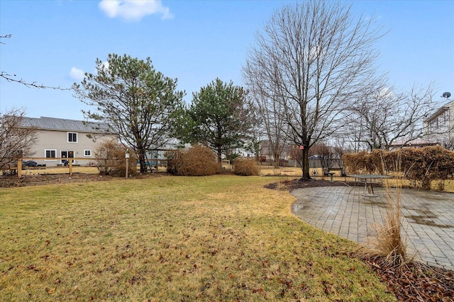 view of yard featuring a patio area