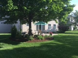 view of yard with a patio