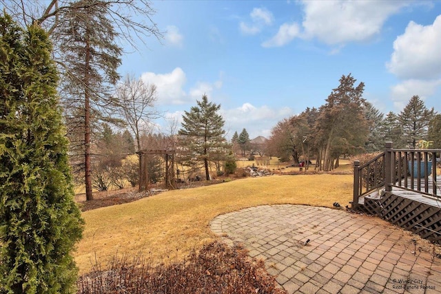 view of yard featuring a patio area