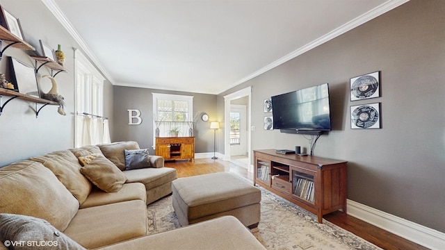 living room featuring baseboards, wood finished floors, and crown molding