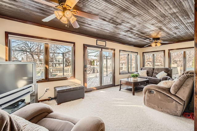 carpeted living area featuring ornamental molding, wood ceiling, a wealth of natural light, and ceiling fan