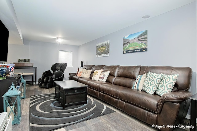 living room featuring wood finished floors