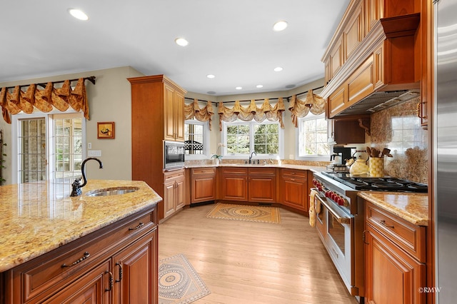 kitchen with light stone counters, decorative backsplash, high quality appliances, and a sink