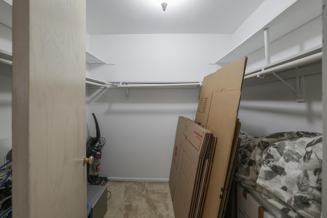 spacious closet with light carpet