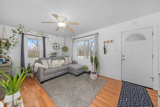 living area featuring ceiling fan, a wealth of natural light, and light wood-style flooring