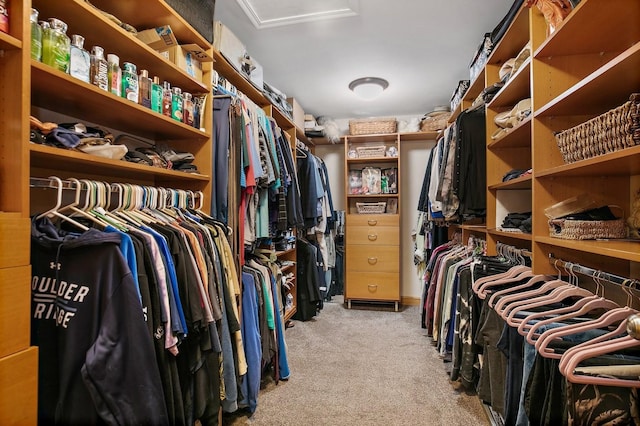 spacious closet featuring light colored carpet