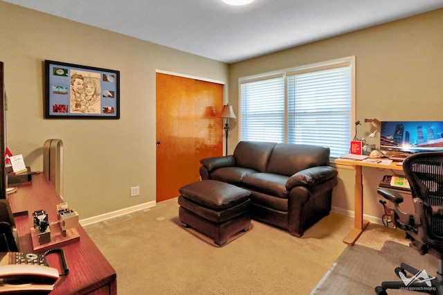 office featuring carpet floors and baseboards